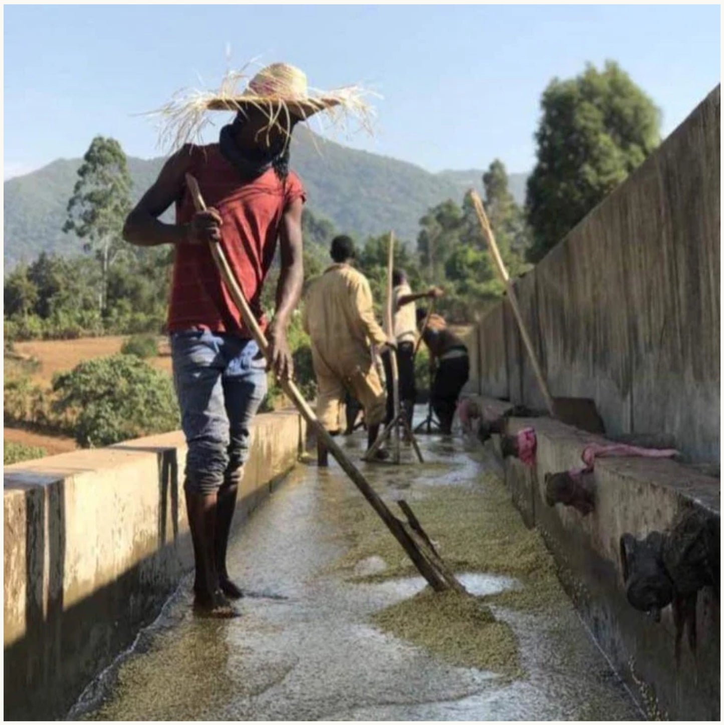 Ethiopia - Gigesa