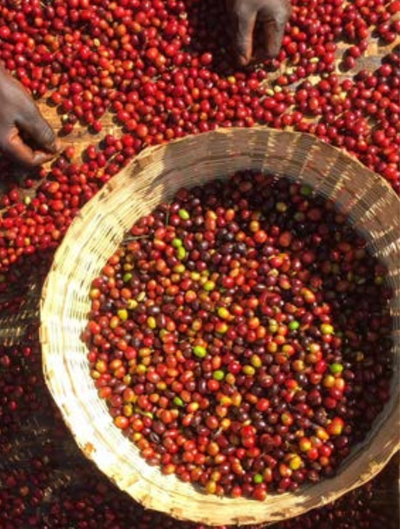 Kenya - Kirimahiga