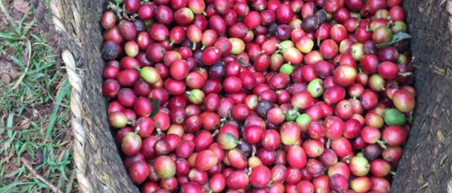 Kenya - Kirimahiga