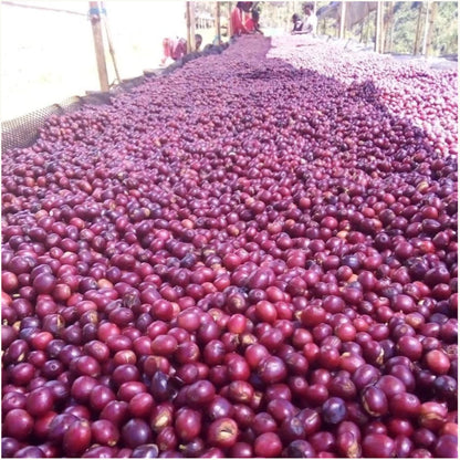 Ethiopia - Gigesa