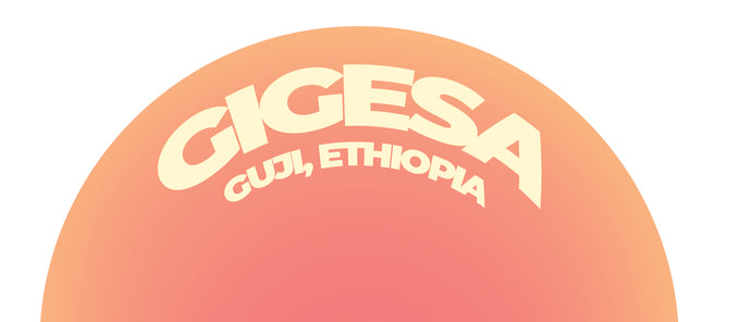 Ethiopia - Gigesa Natural