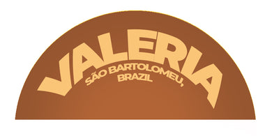Brazil - Valéria de Fátima Pimentel