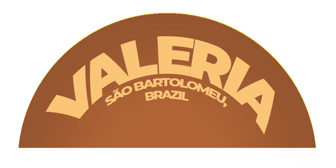 Brazil - Valéria de Fátima Pimentel